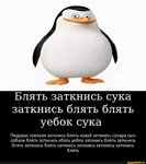 393f4af29c490f5f0a7c97c06d5093b3a947c9cd10a0111e779061a3290a4505_1.jpg