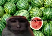 iFfXE_W7_js.jpg