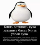 b7igSVouL3o.jpg
