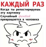 IcJjCZUr1Lw.jpg