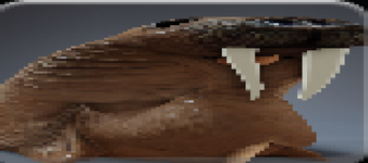 мц.png