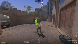 hvh 2.jpg