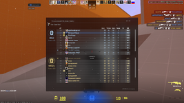 Counter-strike 2 Screenshot 2025.11.16 - 13.13.17.65.png
