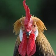 AlMino