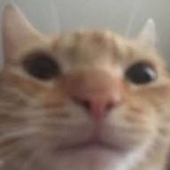 Ingelez