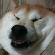 puurged