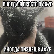 WhitlyOfficial