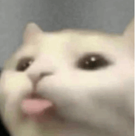 ZHT