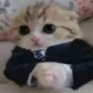 ooeshvhchel