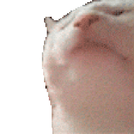 ROPOR