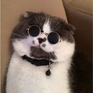 jfhghfdghhfdg