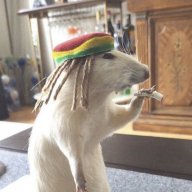 Frozyy