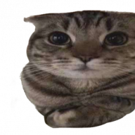 Senyak1337
