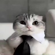 clustybruh