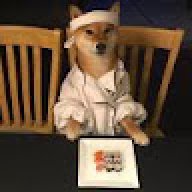 PawQa23