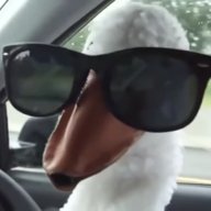 elomelo69