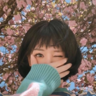SnowHvH