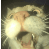 pqrlpqrl