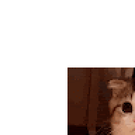 zxqwglonek