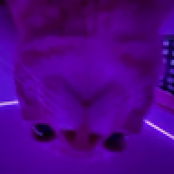 axaxaxaxaxa