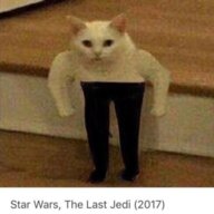 cathvh