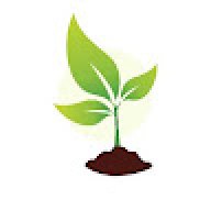planty