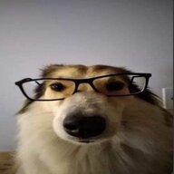yguskwill66
