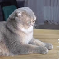danya23121212