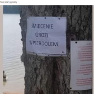 MewynNL