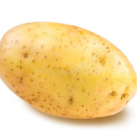 fraerrok19