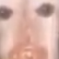 lannecs