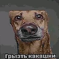 yujjhw519