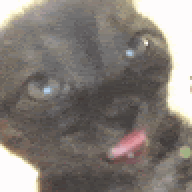 bamiwares