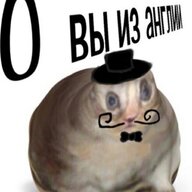 Fikus