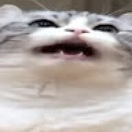 kiriillkakakal