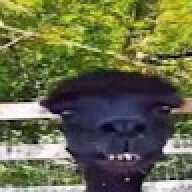 Murzynator2137