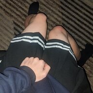 stockings