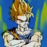 thegokussj337