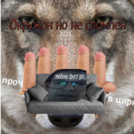 CACTYS1337