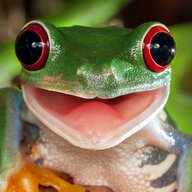 Greenhuggs