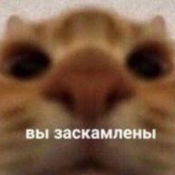 nixartem1337