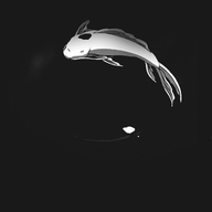 50xx