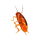 xvate