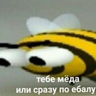 sdfsfsf244