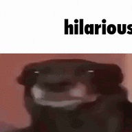 hahacsalok41