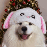 ejskik