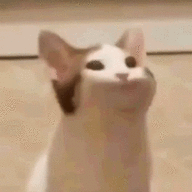 Pizdecebat