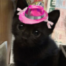 focat