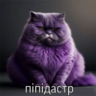 sigmaavaper