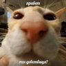 Mixer1337